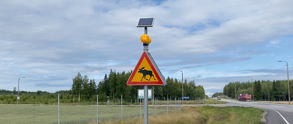 Moottori-lehti: Älykäs vilkkuva riistavaroitus ehkäisemään hirvikolareita