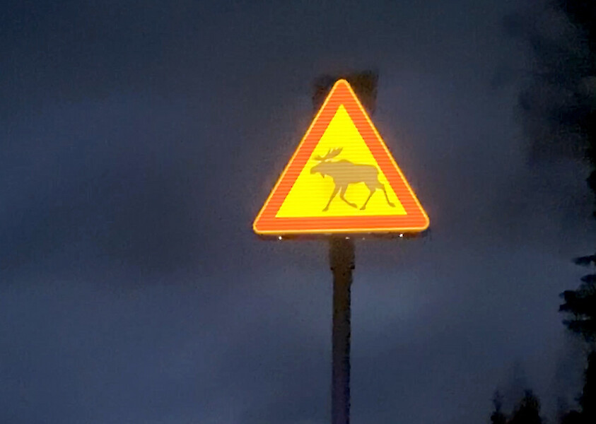 Metsästäjä: Hirvivaroitusmerkit teknologian avulla uudelle vuosituhannelle